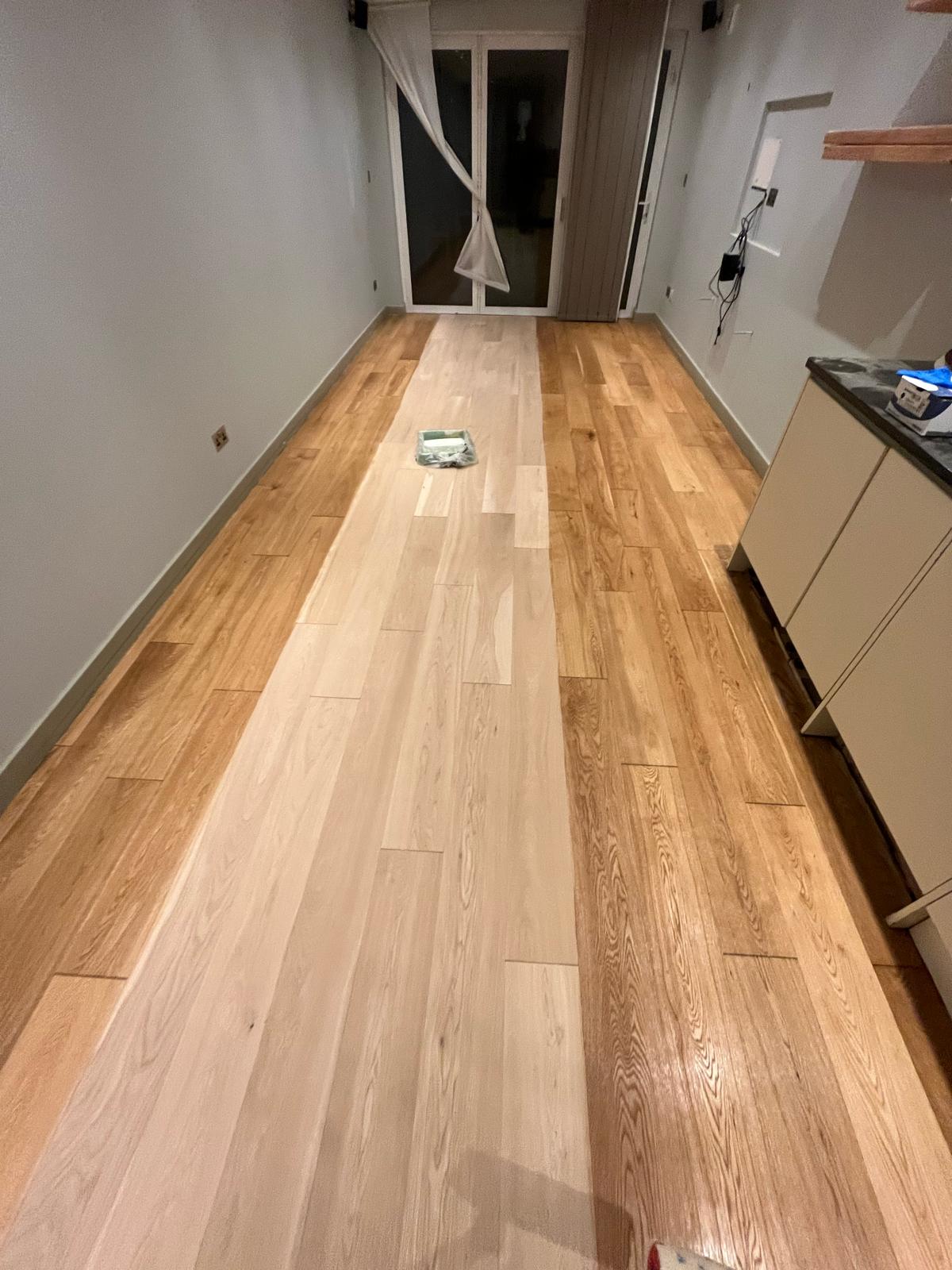 Project 2 — work in progress 1